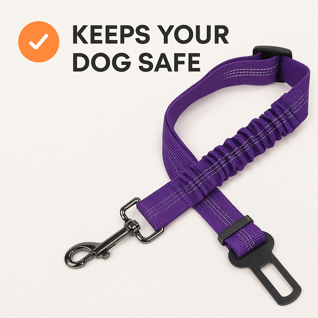 DogSecure™️