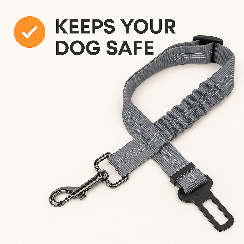 DogSecure™️