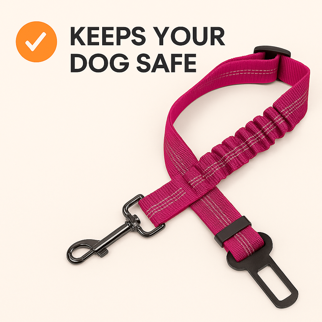 DogSecure™️