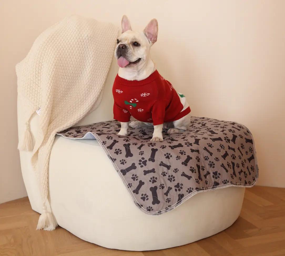 PawPad™ – The Smart, Reusable Puppy Pad