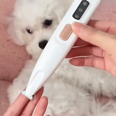 PawTidy™️ - Smooth, Safe Paws in Just Seconds