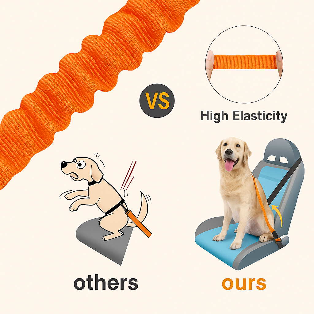 DogSecure™️