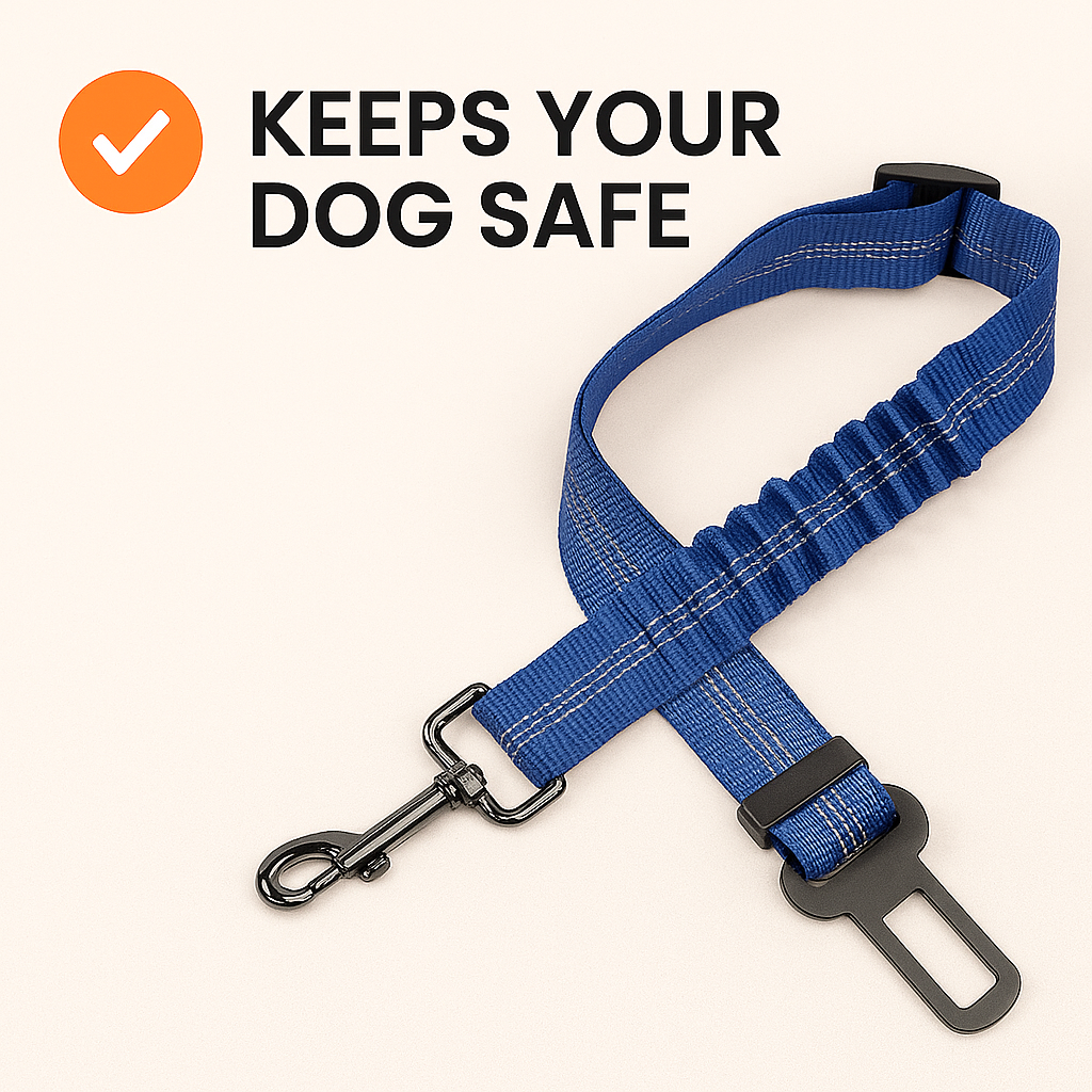 DogSecure™️