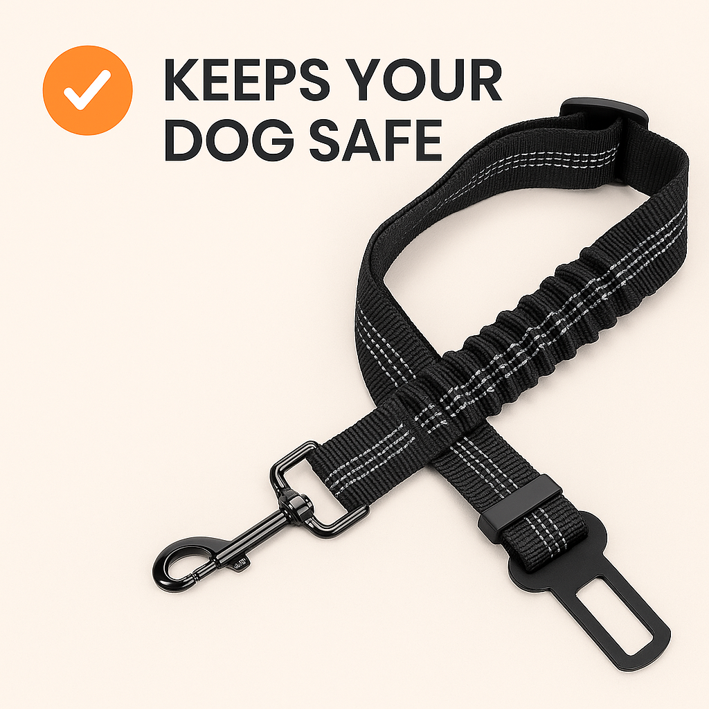 DogSecure™️
